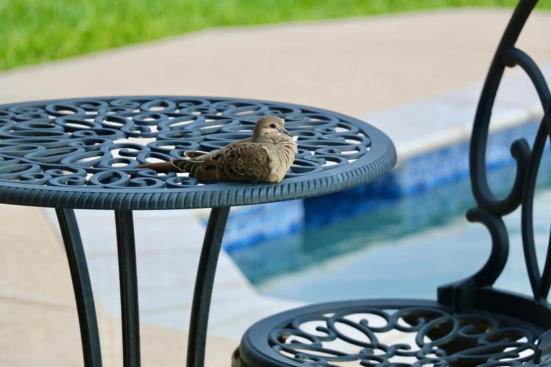 Patio Creations
