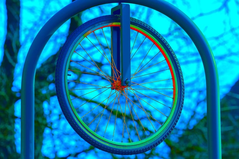 Bicycle Wheel Trellis